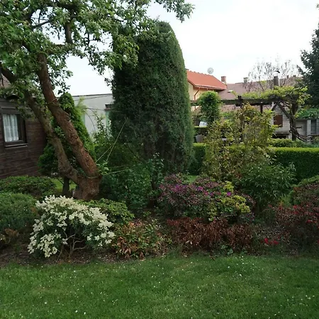 Novoveskeho 322